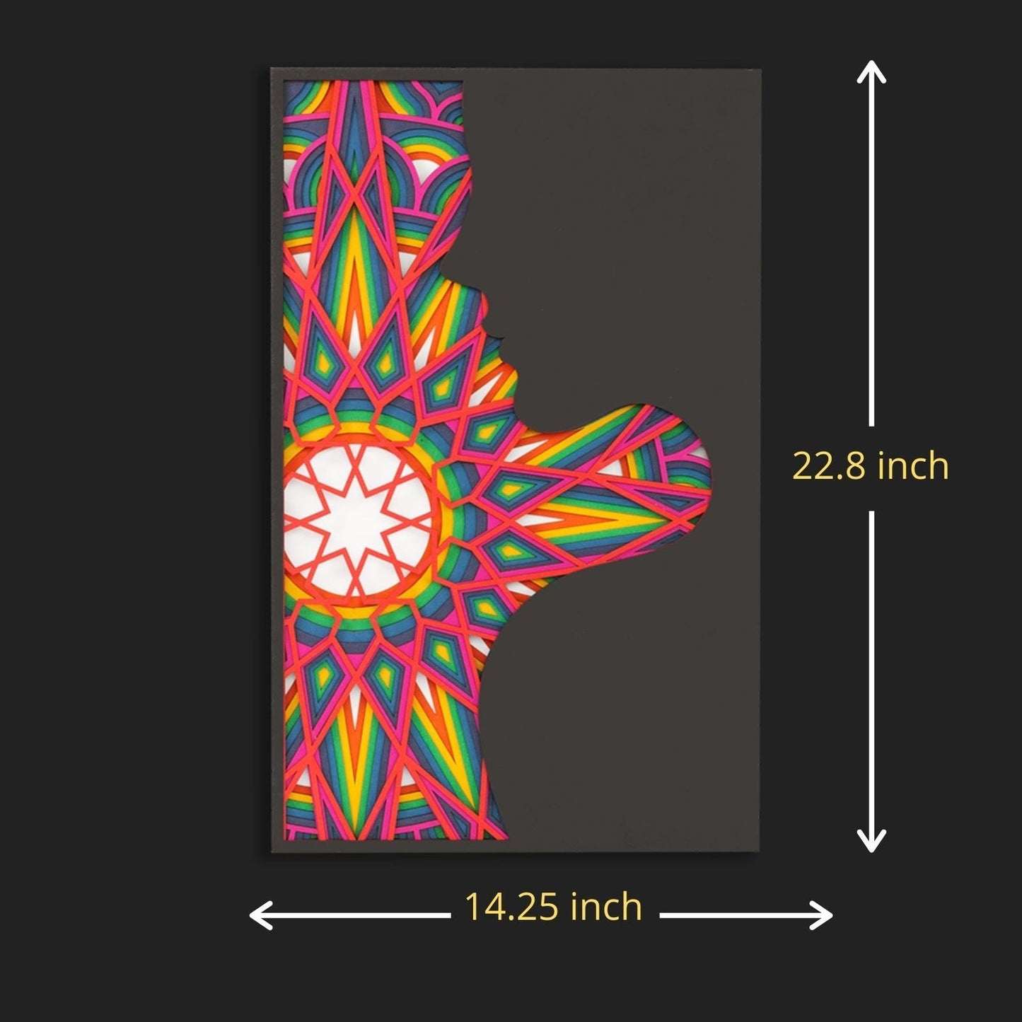 Vibrance of Woman Mandala Wall Art